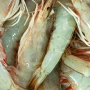 맛수러움 이미지