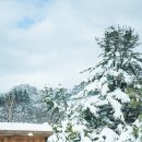 우리가스 이미지