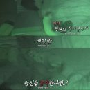 [TV 동물농장] 밤마다 고양이가 공격하는 이유 이미지