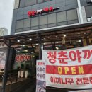 청춘야끼