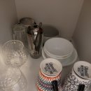 황룡stay 이미지