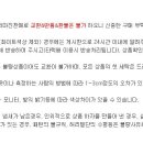 마켓퍽 머니투데이