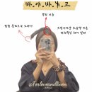 (주)비더블유컨설팅 | [결혼준비][웨딩촬영] 웨딩헤어컨설팅으로 완성한 뉴트럴 톤 다운 염색 &lt;1편&gt;(feat. 비오른 헤어 장윤정...