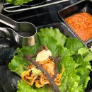 도니조아 이미지