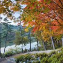 산인어탕칼국수 이미지