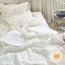 더 크린 이미지