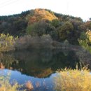 관동마을 앞 이미지