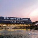 뮌스터담 이미지