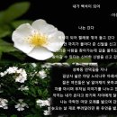 문화극장 이미지