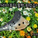 오카리나 (오카리나 꽃이 피었습니다) 이미지