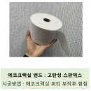 밴드에코 이미지