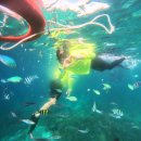 한바다플러스 이미지