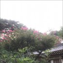 삼선고택 이미지