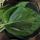 낙지천지 | [수원/망포] 육회집인데 낙지볶음까지 완벽? 망포역맛집 '육회일잔' 솔직 후기
