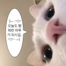 위드엠 | W10. 웨딩 본식 스냅 계약 후기📸 - 위드정우(WITHJUNGWOO) 본식 스냅 계약 후기 + 돌발 이슈 여담까지...