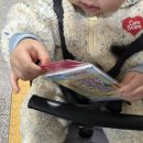 엠디스트 이미지