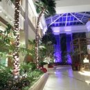 솔레어(SOLAiRE) 이미지