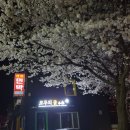 청풍민박
