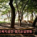 경기요양병원 | 경기도 화성시 노인요양원 요양센터 정보 근로복지공단 경기요양병원 자연과 함께하는 요양병원