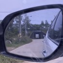 오금1리 이미지