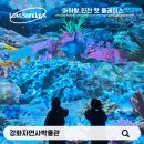 하점면-5 | 아이랑 인천 강화자연사박물관｜계획 없이 갔다가 후회한 곳, 왜 이제야 알았을까