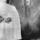 하나카동물병원 이미지