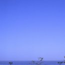 동해주유소 이미지