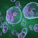 푸른비뇨기과의원 이미지