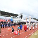 영덕군민운동장 이미지