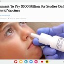 미국 정부, 새로운 구강 및 비강 코비드 백신 연구에 5억 달러 지불 이미지