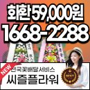 인터스텔라네트워크 유한회사 | 울산 장례식장 화환 배달 선택 기준, 씨즐플라워