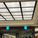 미가 | [하우스 오브 신세계] 미가훠궈 솔직후기