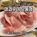 오동동 | 마산 대패 맛집 삼겹구이 오동동점 내돈내산 솔직후기