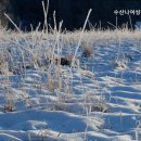 수산나고시원