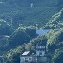 섬에 머물다 | 여수 기쁨조이펜션에서 머물다