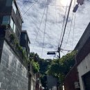 인공암벽장 | 응봉산 인공암벽장 리드 후기