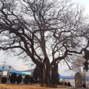 양성 석조여래입상 이미지