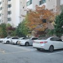 면목동-111 이미지