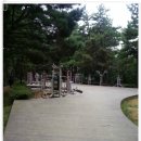 장산억새밭 이미지