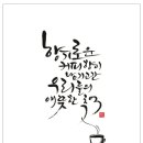 향을쓰다캘리그라피