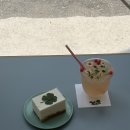넷넷