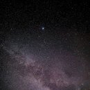 붉은황소 이미지