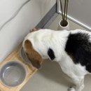 보니따피부관리 | 마곡 피부관리 보니따 | 엑스터레이저로 잡티부터 탄력까지