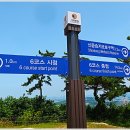 진도망금산관방성 이미지