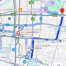 호수지구대 사거리 | [오사카] 국제 운전 면허증 필수! 마리오카트 체험, 아키바 카트 신세카이점 리얼후기