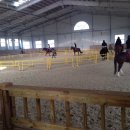 홍성군승마장 이미지