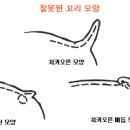 불독의 꼬리(수정) 이미지