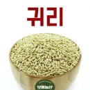 보령농산