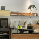 롬브 커피 하우스 이미지