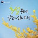 해롱이치킨앤명인찜닭 | 언젠가 따뜻한 날에 우리 만나